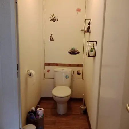 T2 Calme Assuré Face à La Pique Les Ramel Bagnères-de-Luchon